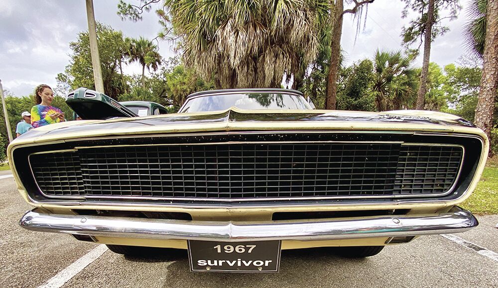 Cars_17